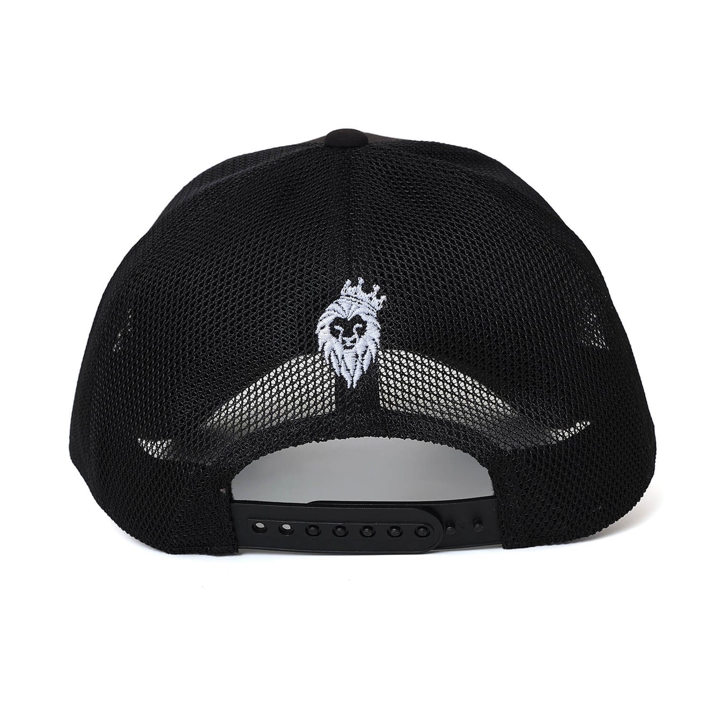 V12 OL CAP