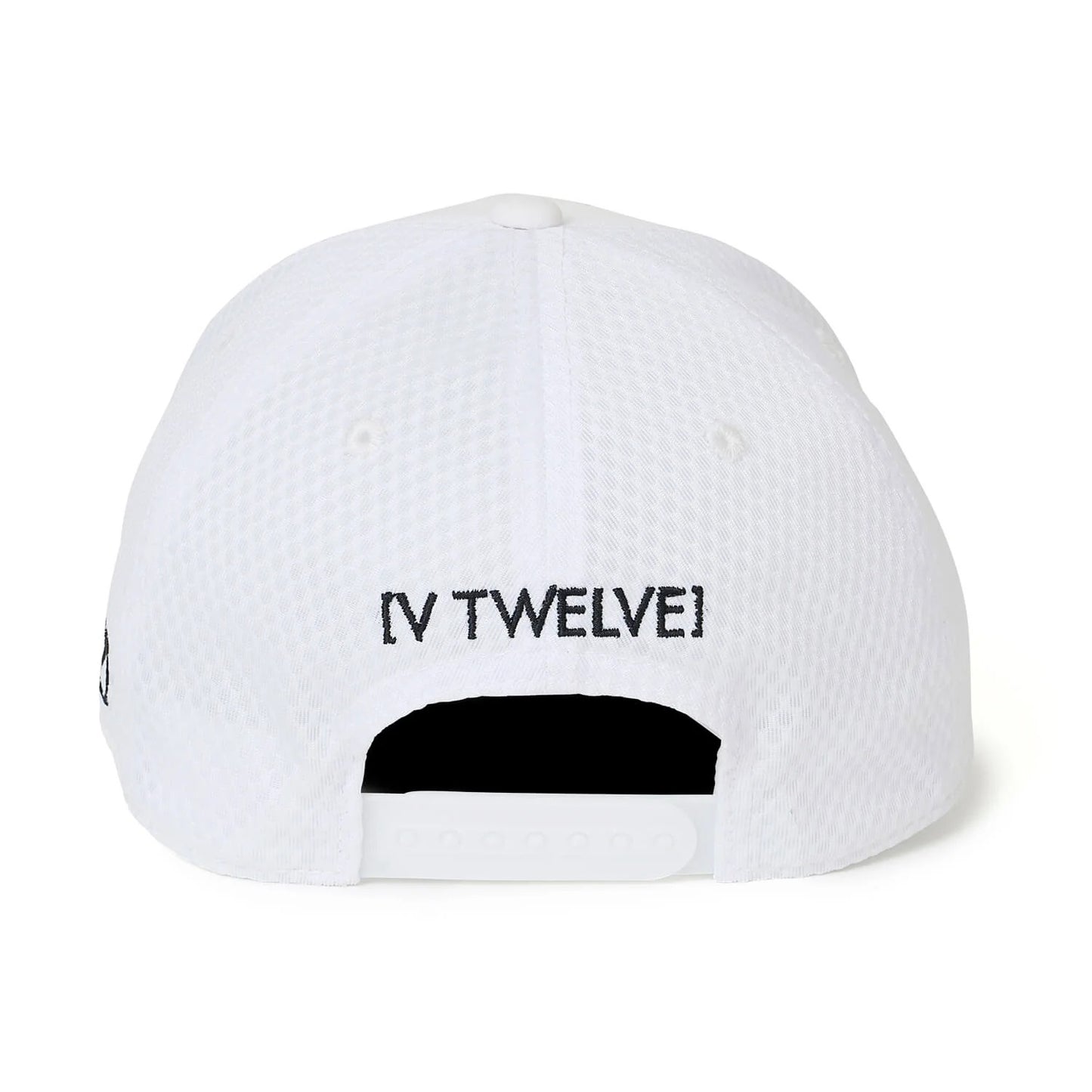 V12 SHANK B CAP