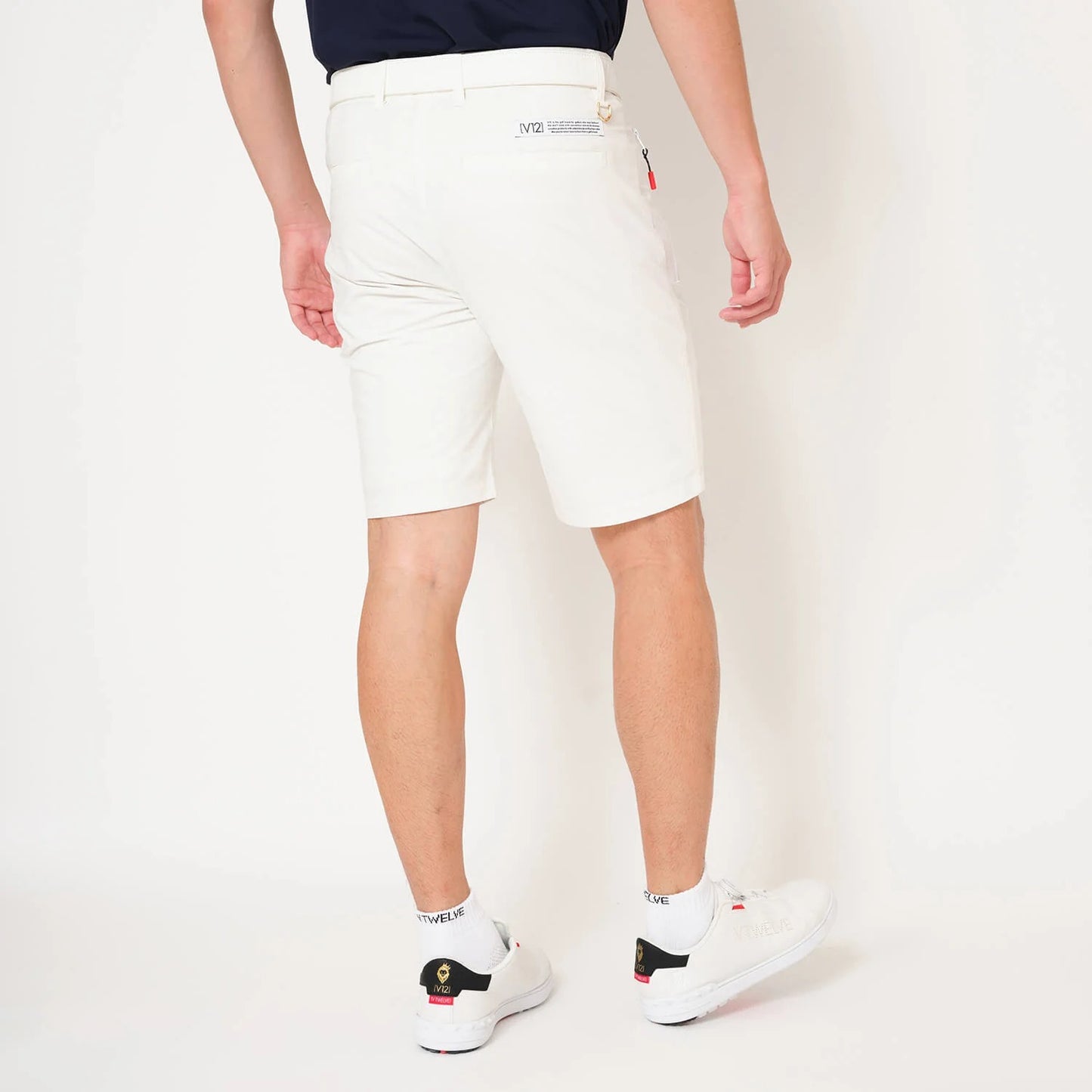 V12 MENS COLOR PULL SHORTS