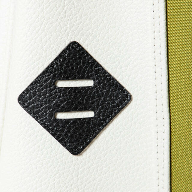 JONES caddie bag